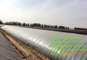 寿光市万禾农业 蔬菜大棚建造全攻略与价格解析