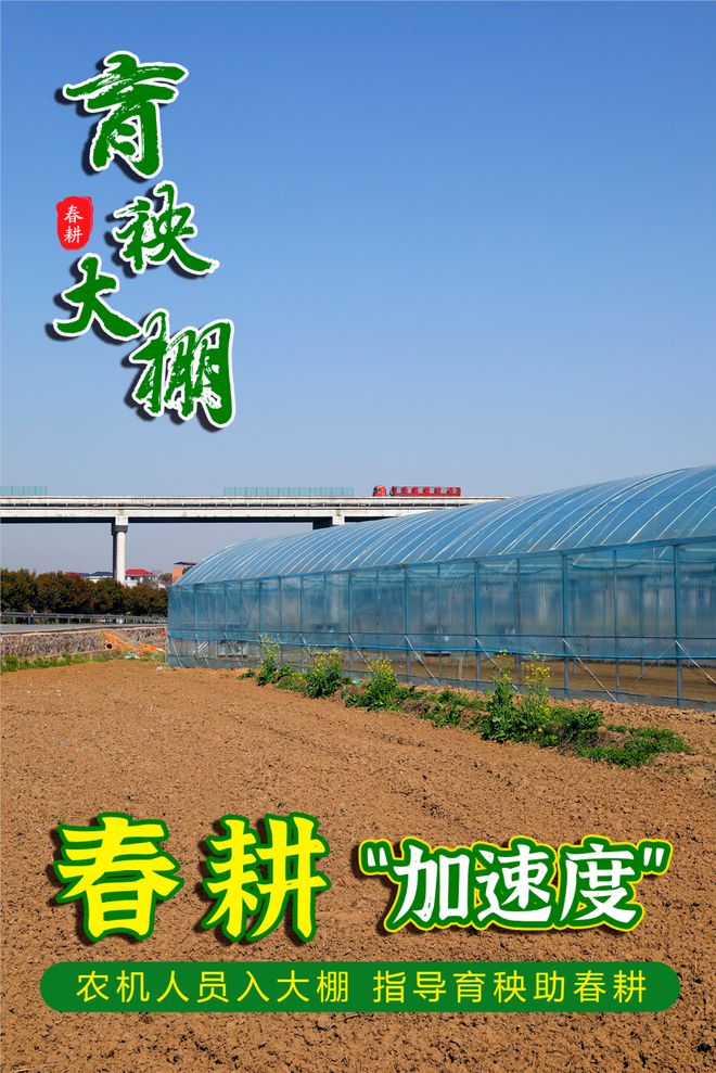 海报丨娄星区农机人员入大棚指导育秧助春耕